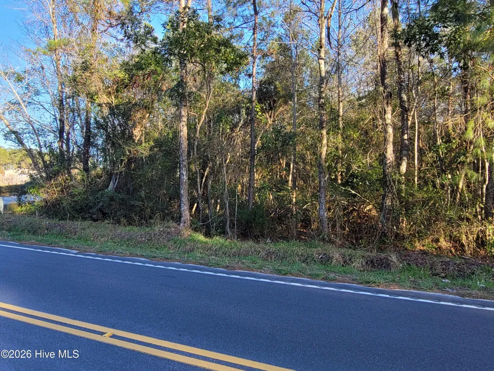 Tbd Log Cabin Road Loris, SC 29569