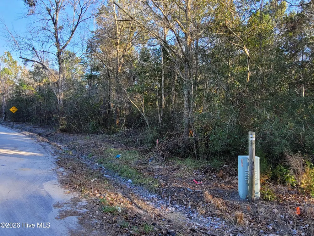 Tbd Log Cabin Road Loris, SC 29569