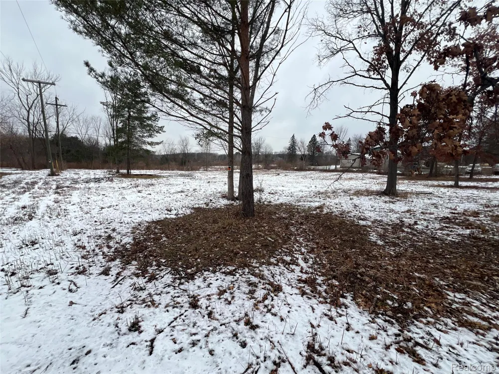 N Latson Road Oceola Township, MI 48855