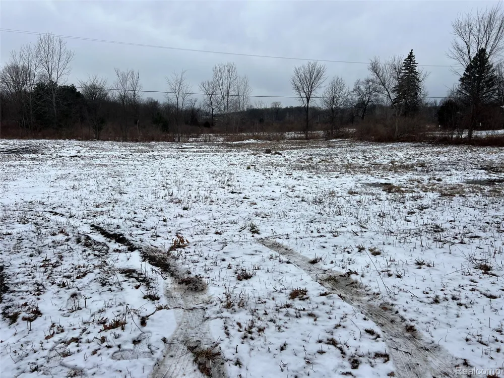 N Latson Road Oceola Township, MI 48855