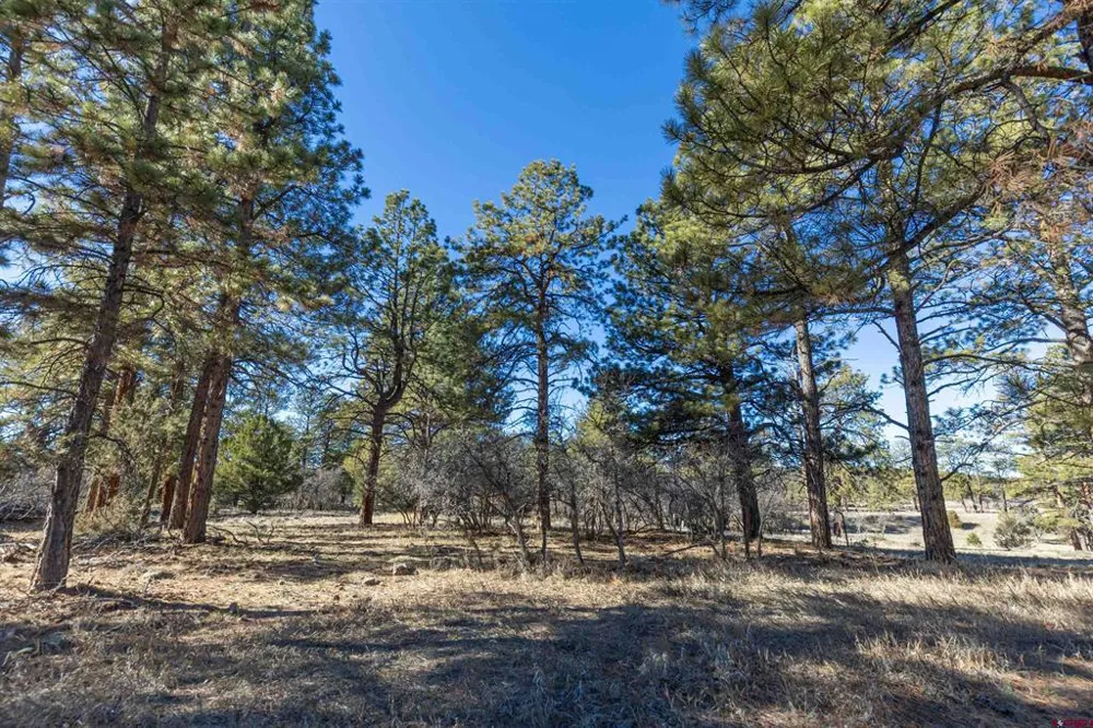 S Badger Trail Ridgway, CO 81432