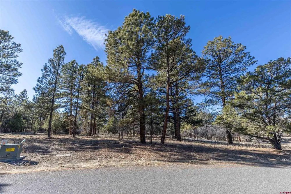 S Badger Trail Ridgway, CO 81432