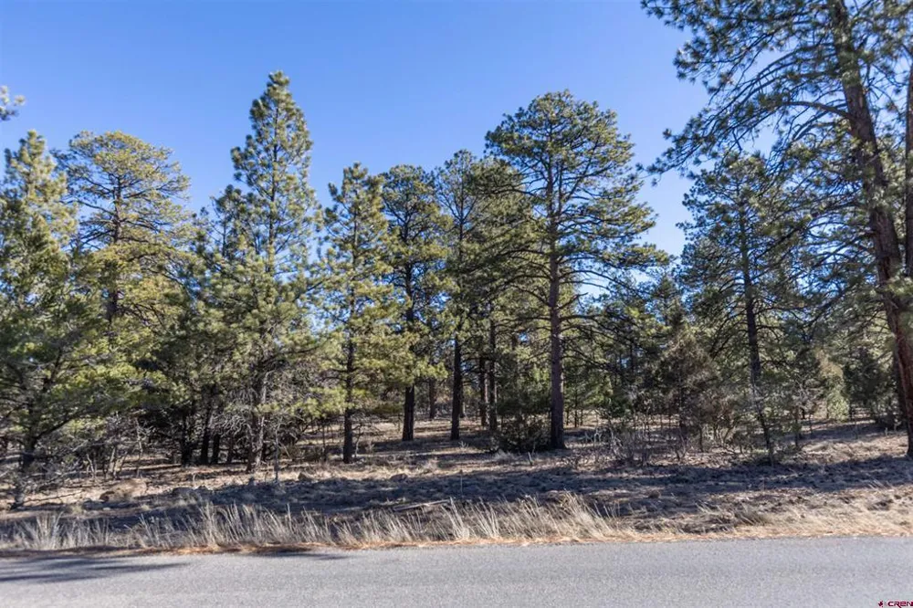S Badger Trail Ridgway, CO 81432