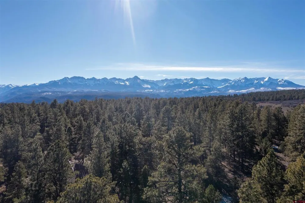 S Badger Trail Ridgway, CO 81432