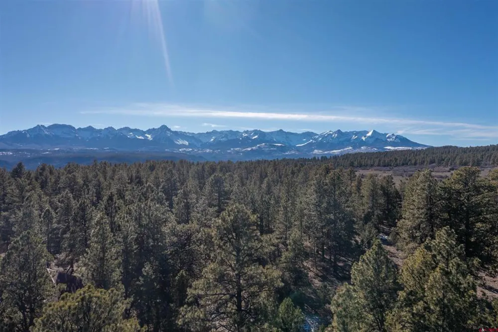 S Badger Trail Ridgway, CO 81432