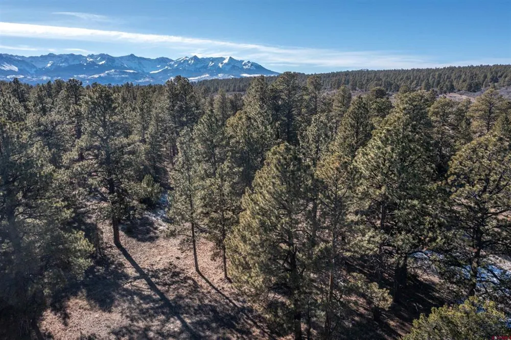 S Badger Trail Ridgway, CO 81432