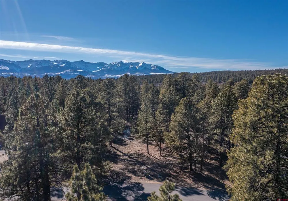 S Badger Trail Ridgway, CO 81432