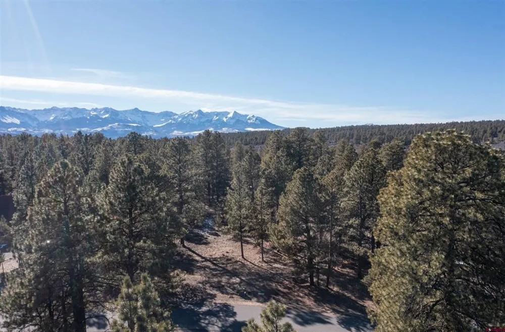 S Badger Trail Ridgway, CO 81432