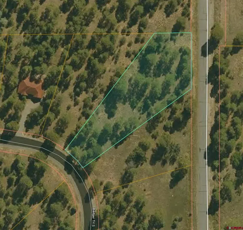 S Badger Trail Ridgway, CO 81432