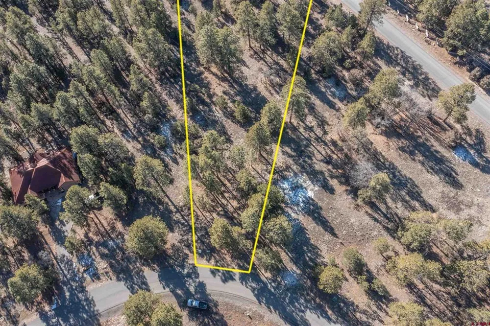 S Badger Trail Ridgway, CO 81432