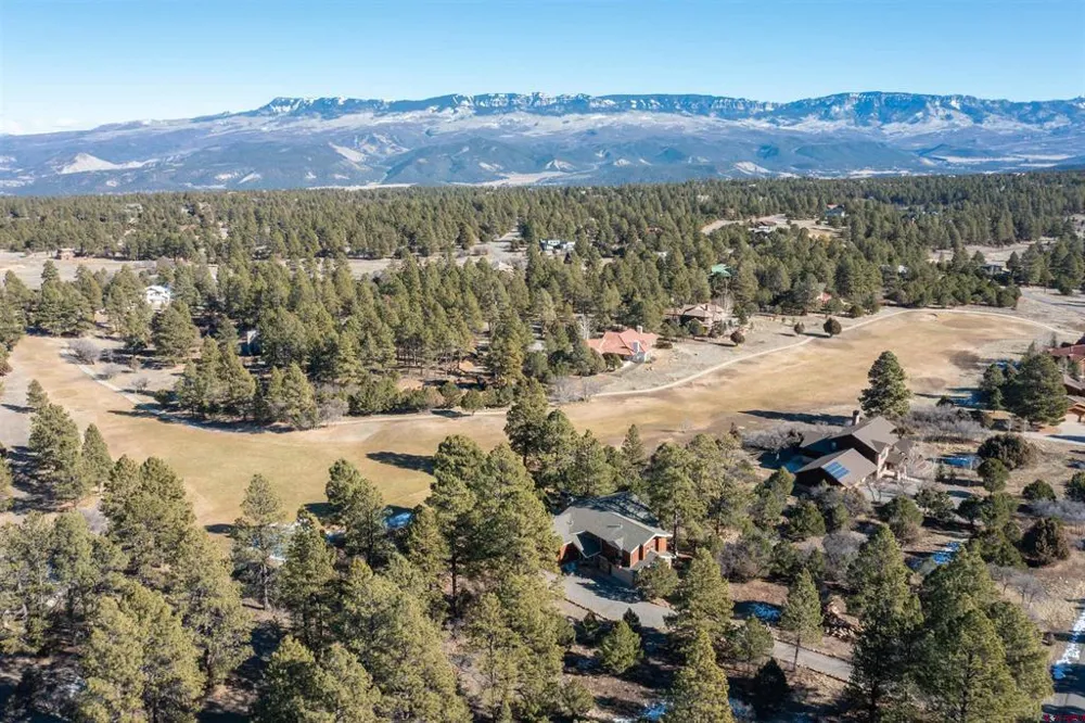 S Badger Trail Ridgway, CO 81432