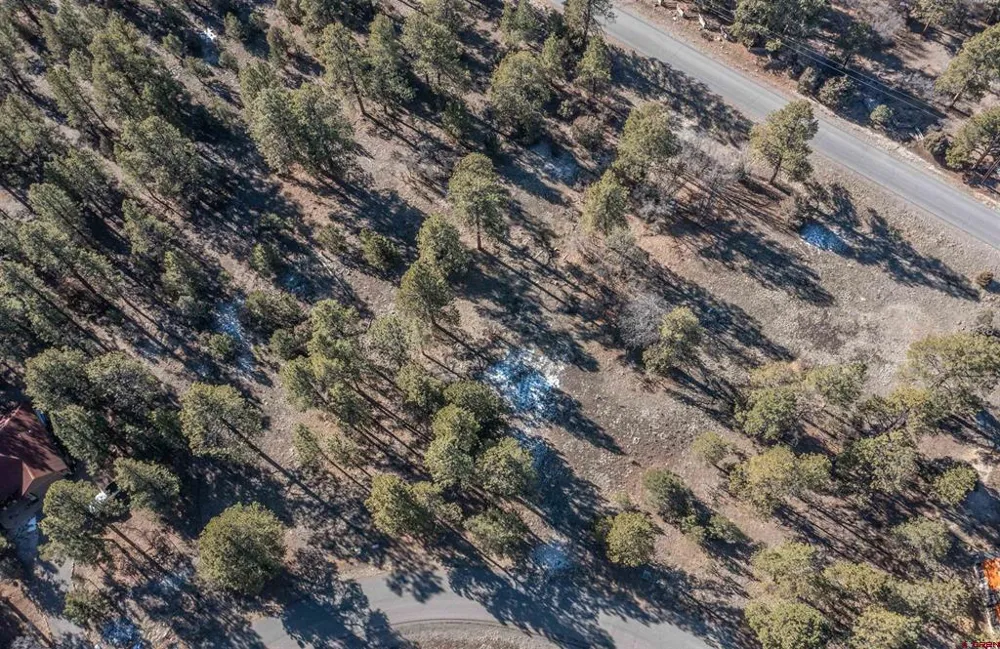 S Badger Trail Ridgway, CO 81432