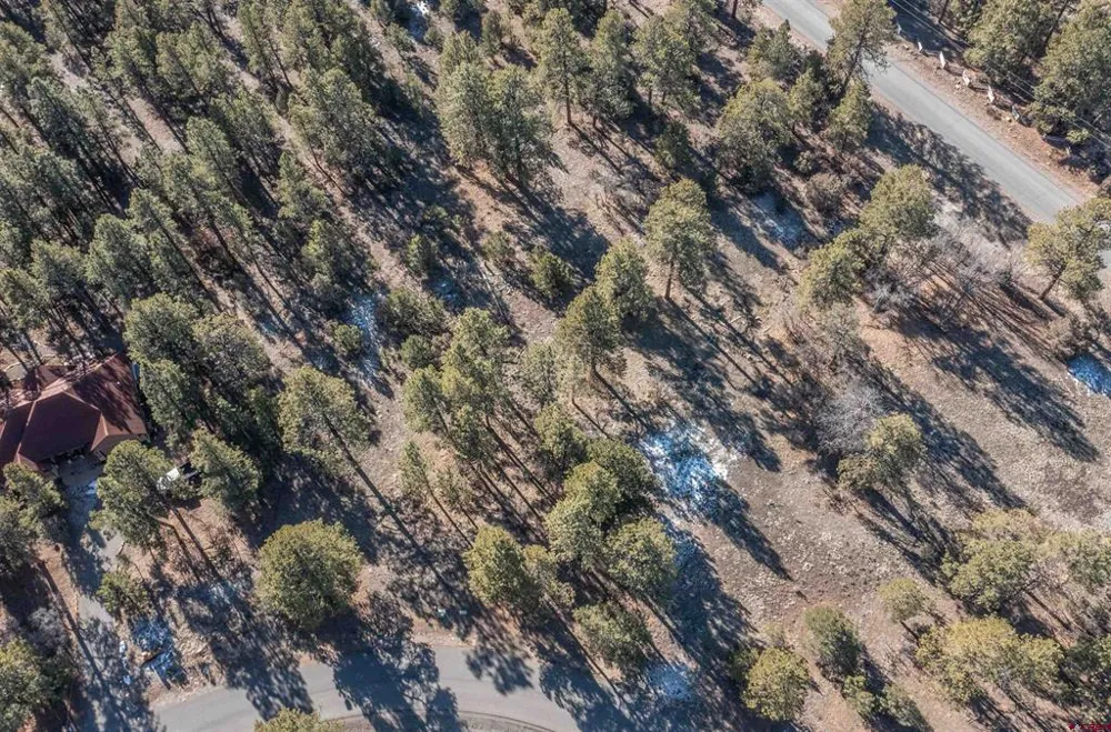 S Badger Trail Ridgway, CO 81432