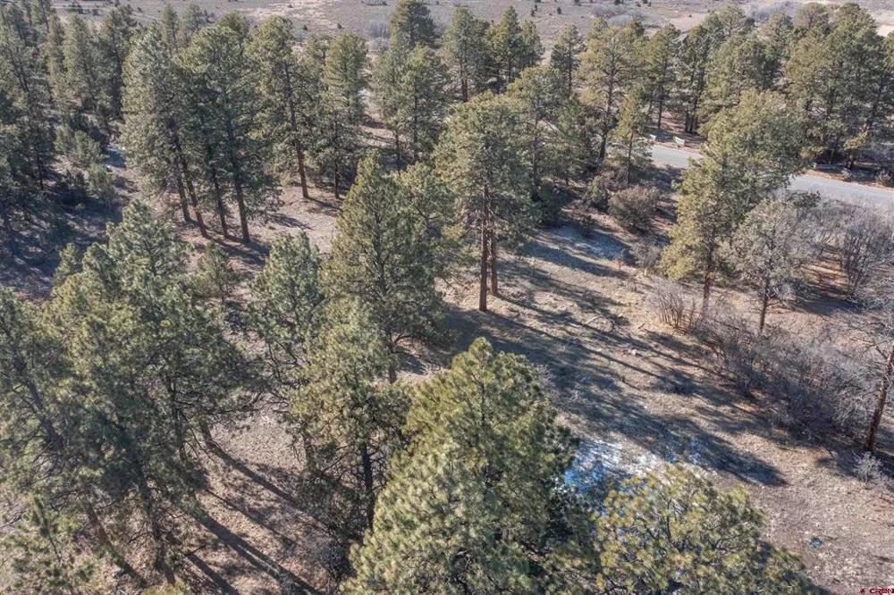 S Badger Trail Ridgway, CO 81432