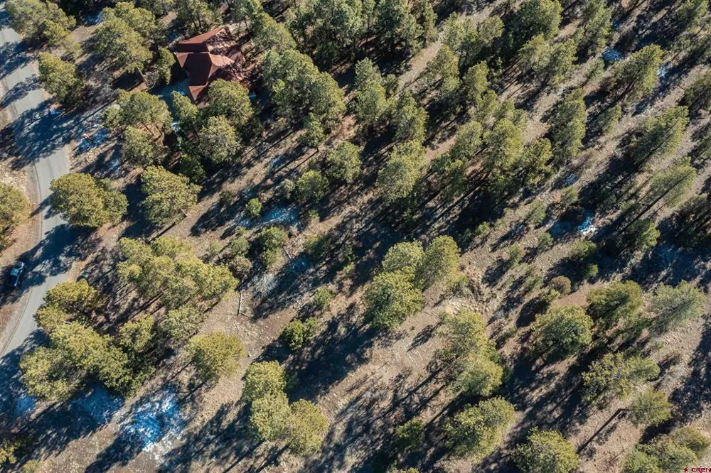 S Badger Trail Ridgway, CO 81432