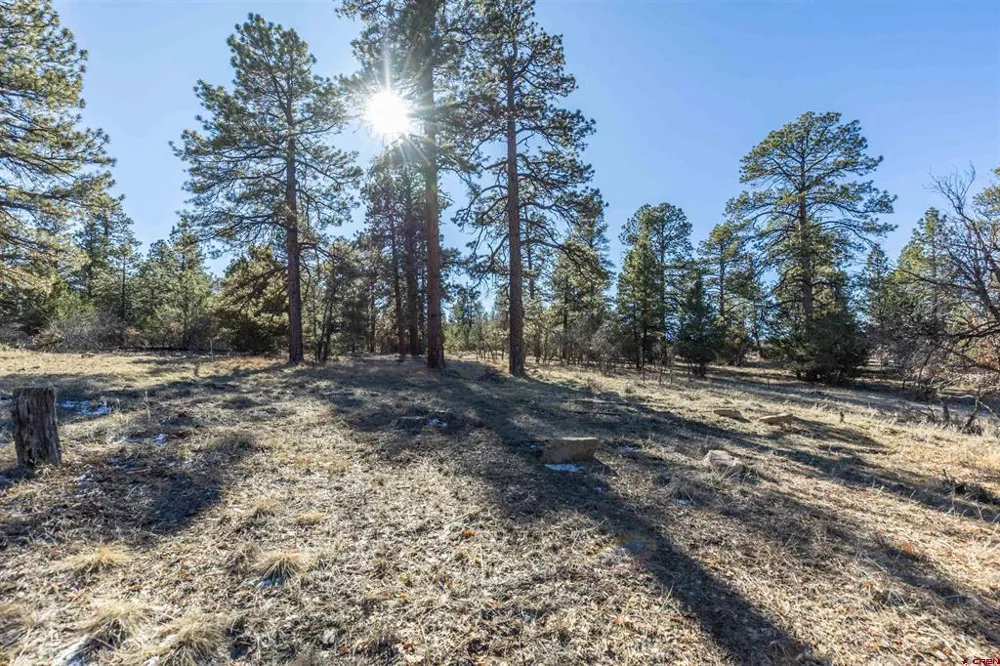 S Badger Trail Ridgway, CO 81432