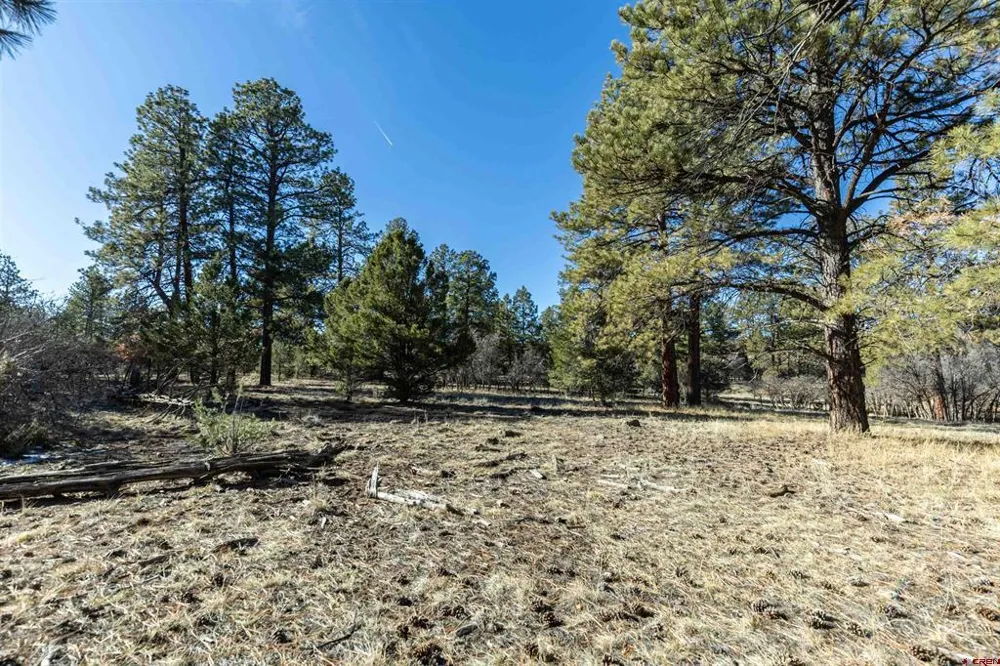 S Badger Trail Ridgway, CO 81432