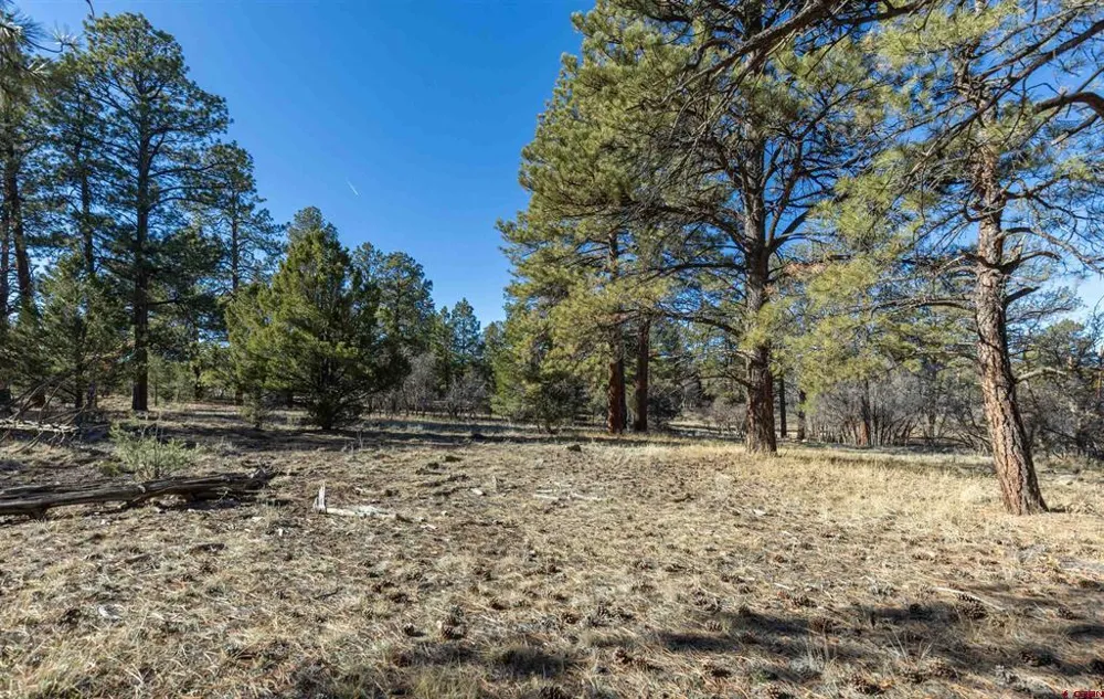 S Badger Trail Ridgway, CO 81432