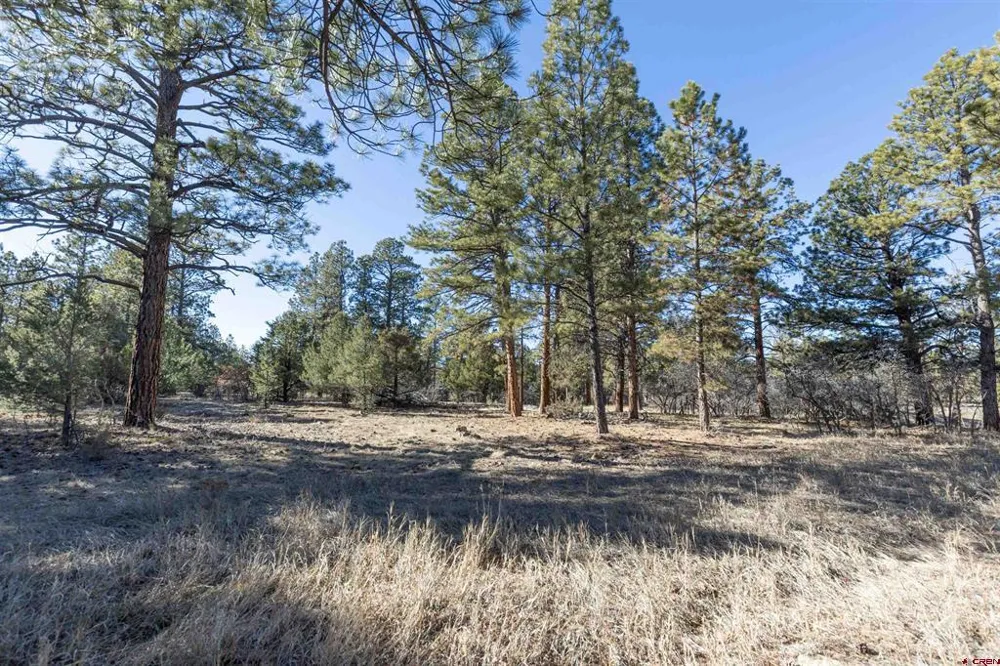 S Badger Trail Ridgway, CO 81432