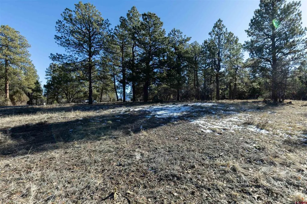 S Badger Trail Ridgway, CO 81432