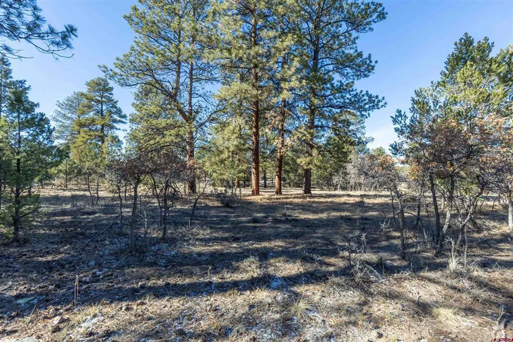 S Badger Trail Ridgway, CO 81432