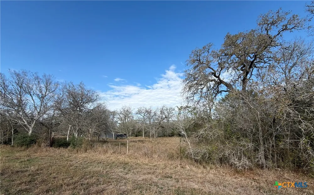 10102 US Highway 90a Hallettsville, TX 77964