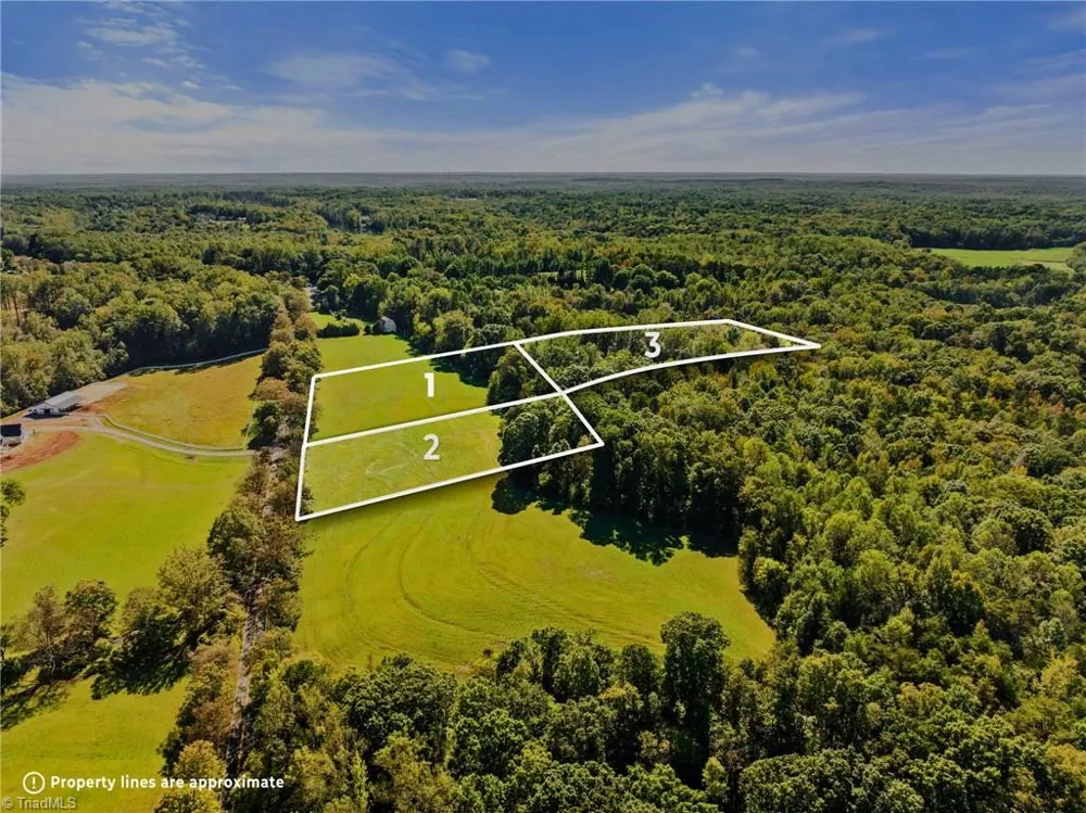 8112 Hilltop Farms Drive Lewisville, NC 27023