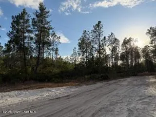 880 Still Road Pierson, FL 32180