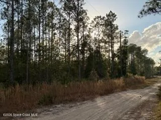880 Still Road Pierson, FL 32180