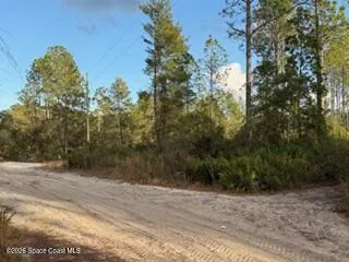 880 Still Road Pierson, FL 32180