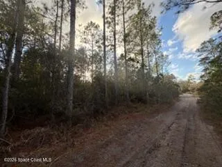 880 Still Road Pierson, FL 32180