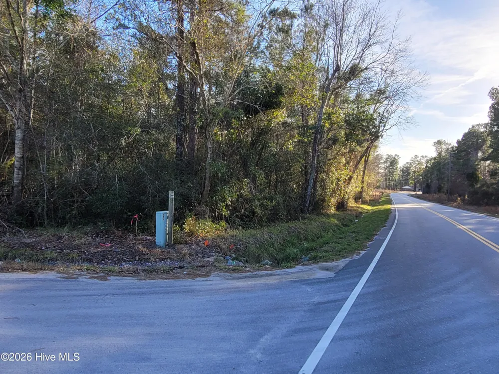 Tbd Lot 1 Auburn Drive Loris, SC 29569