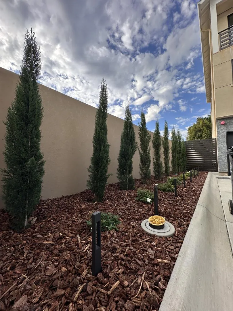 523 Union Avenue Campbell, CA 95008