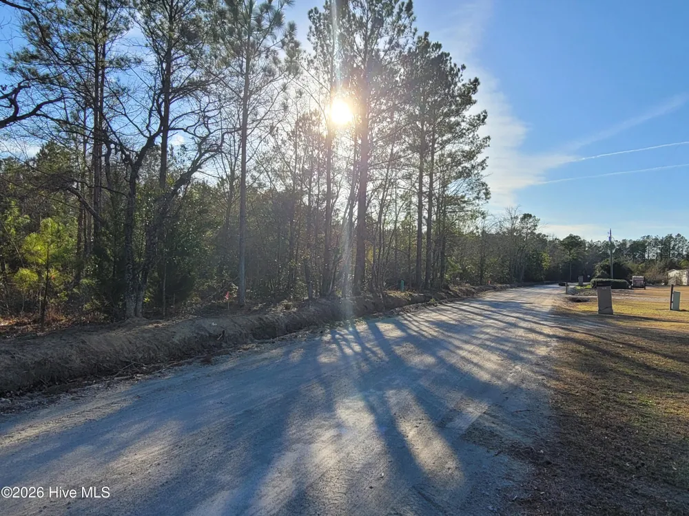 Lot 2 Auburn Drive Loris, SC 29569