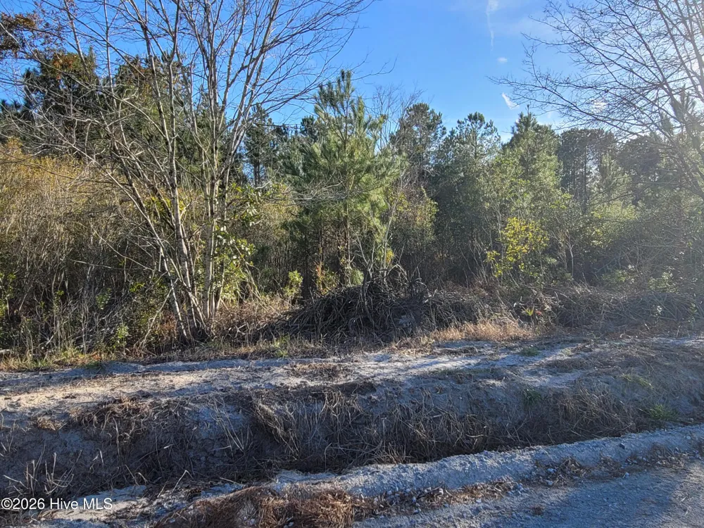 Lot 2 Auburn Drive Loris, SC 29569
