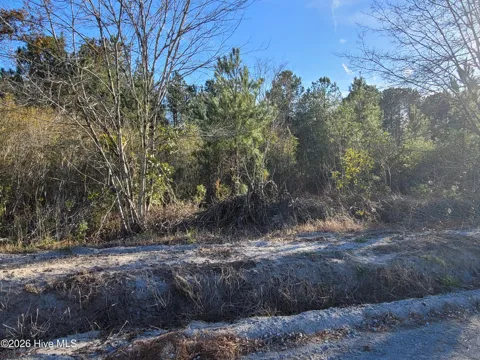 Lot 2 Auburn Drive