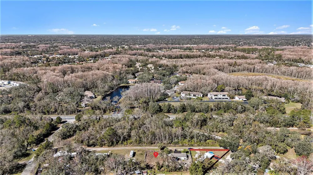 POLO STREET New Port Richey, FL 34654