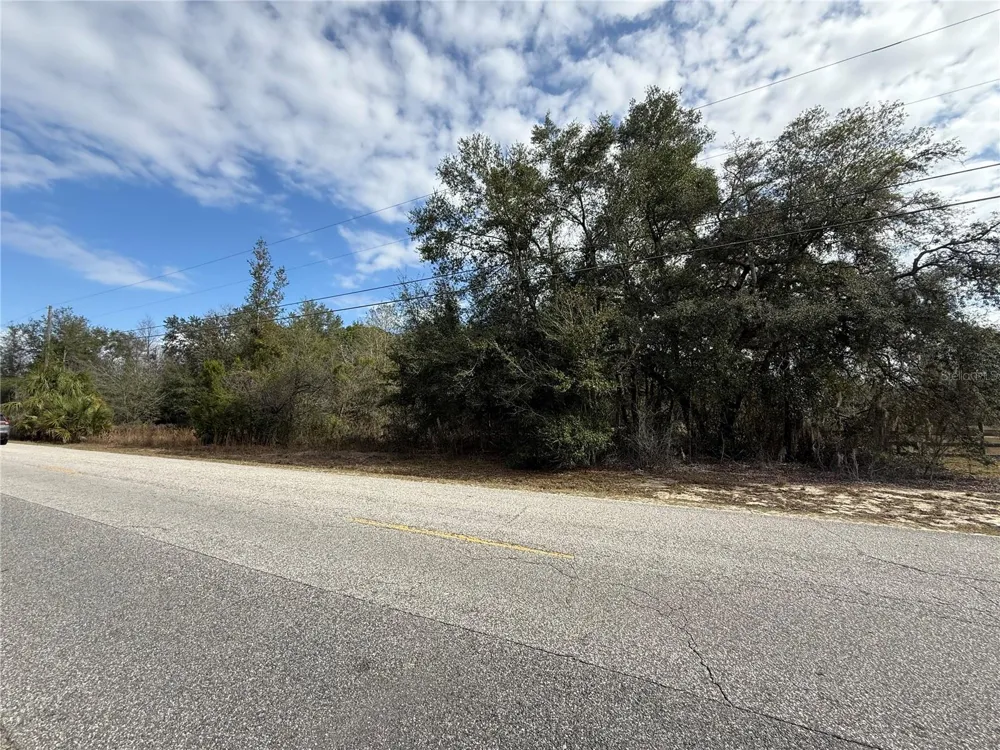 SE 92ND COURT Belleview, FL 34420