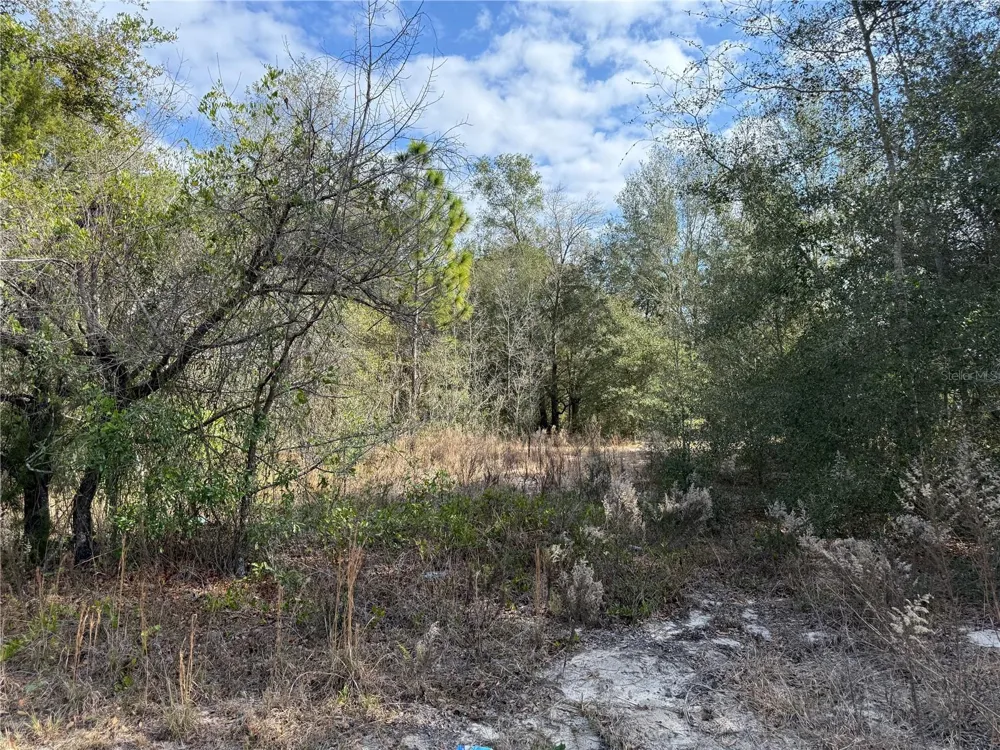 SE 92ND COURT Belleview, FL 34420
