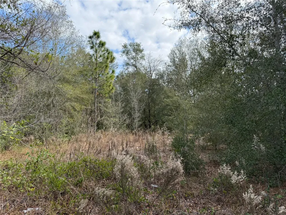 SE 92ND COURT Belleview, FL 34420