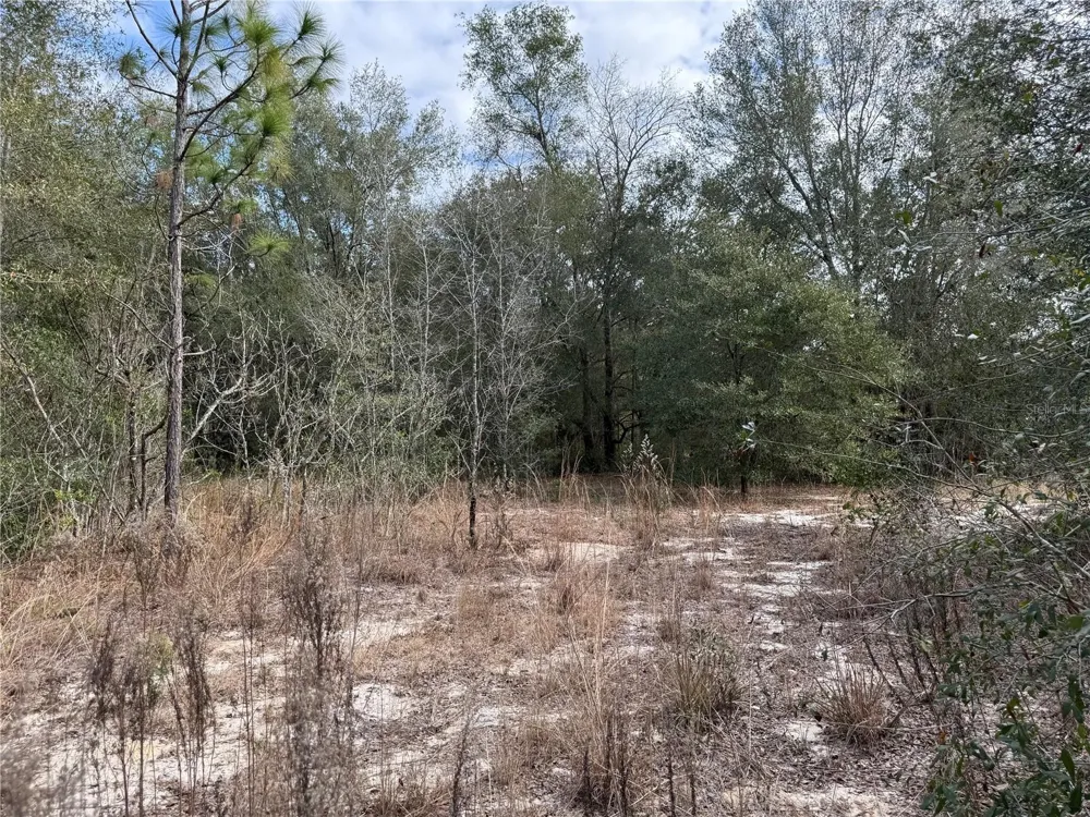 SE 92ND COURT Belleview, FL 34420