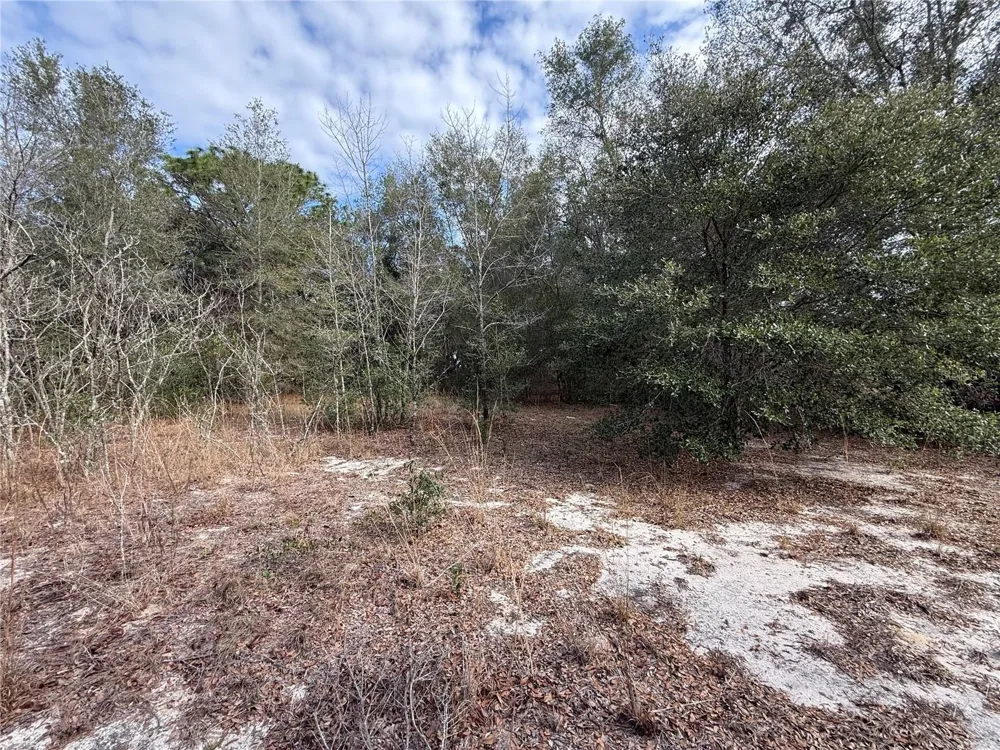 SE 92ND COURT Belleview, FL 34420