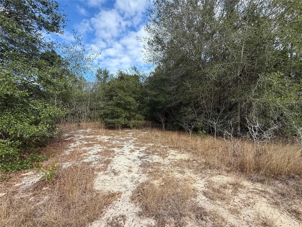 SE 92ND COURT Belleview, FL 34420