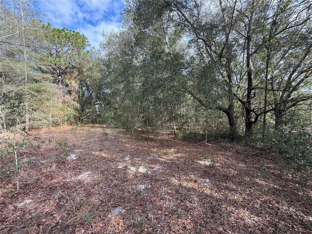 SE 92ND COURT Belleview, FL 34420