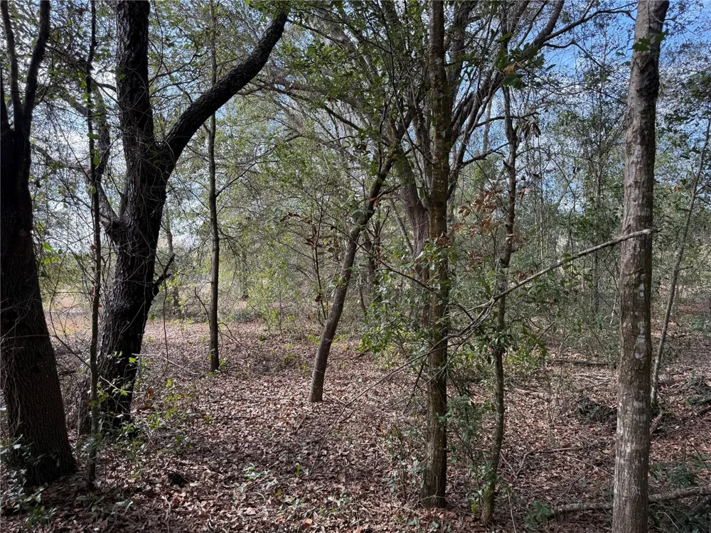 SE 92ND COURT Belleview, FL 34420