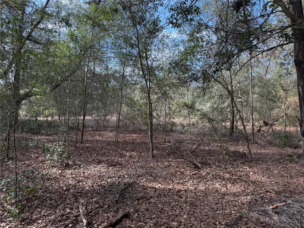 SE 92ND COURT Belleview, FL 34420