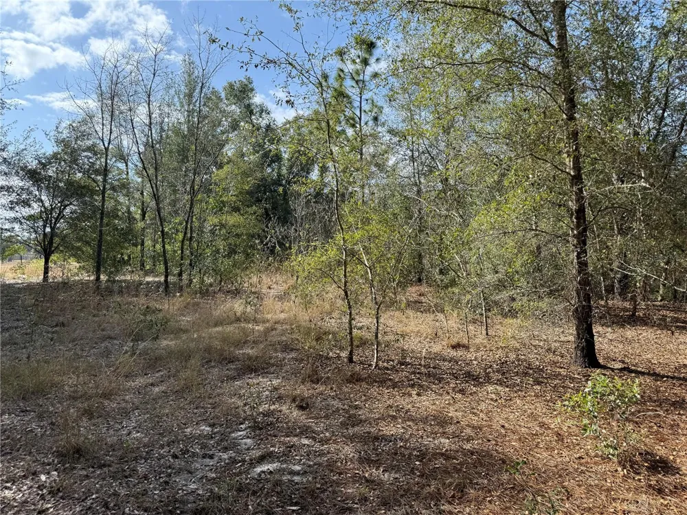 SE 92ND COURT Belleview, FL 34420