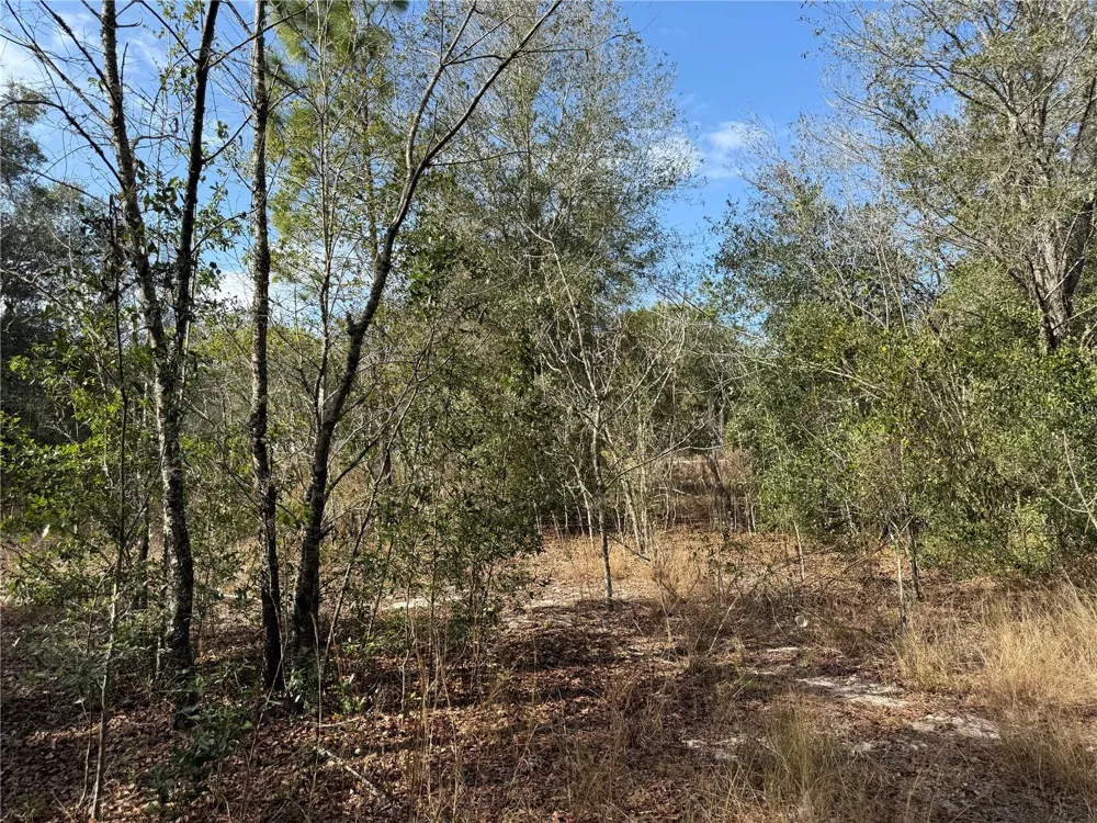 SE 92ND COURT Belleview, FL 34420