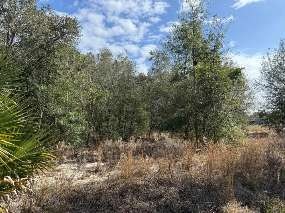 SE 92ND COURT Belleview, FL 34420