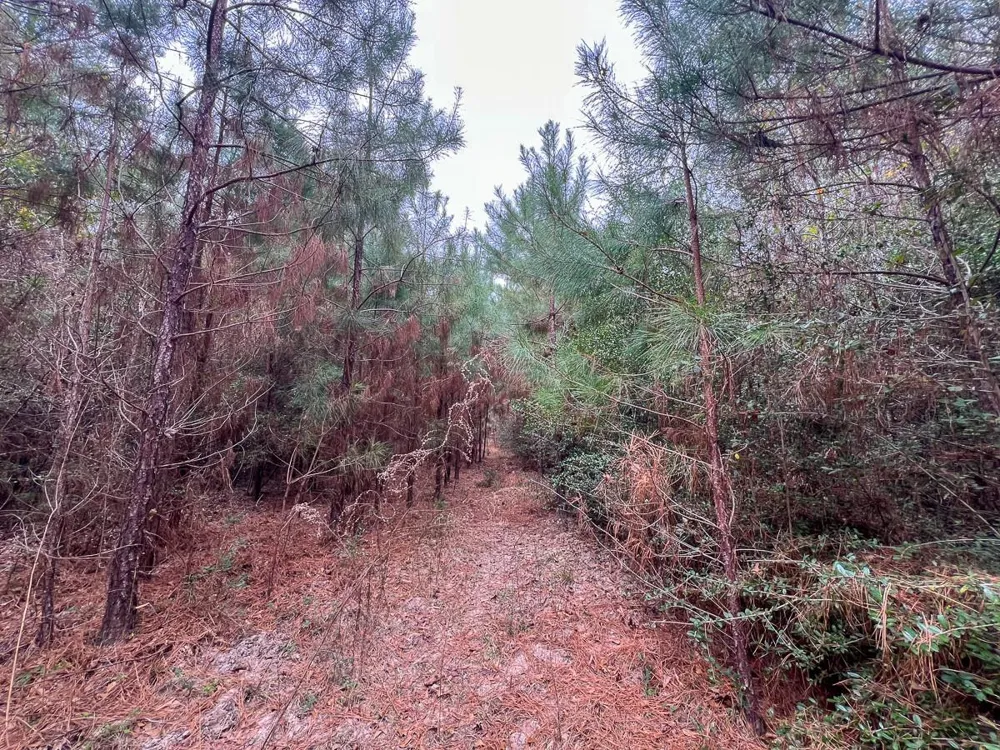 1 Fm 252 Kirbyville, TX 75956